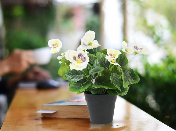 Brighten Your Space with Beautiful Artificial Flowering Plants