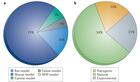 Cost-effective Animal Disease Models to Power Up Life Science Research