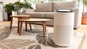 Do air purifiers eliminate odors?