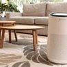 Do air purifiers eliminate odors?