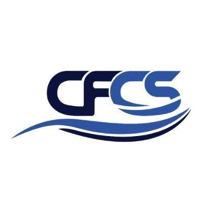 Rochester CFSS consulting