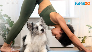 Puppy Yoga: The Perfect Way to De-Stress for Pet Lovers: Puppiezo 
