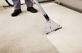 Why Professional Carpet Cleaning is Worth the Investment