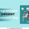 Hire Programmers For Urgent PHP homework help