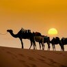 From Desert to Coast: Discover Morocco\u2019s Finest Luxury Tour Experiences