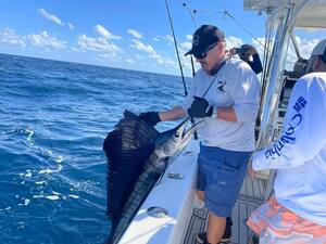 Miami sailfish charters