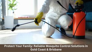 Protect Your Family: Reliable Mosquito Control Solutions in Gold Coast &amp; Brisbane