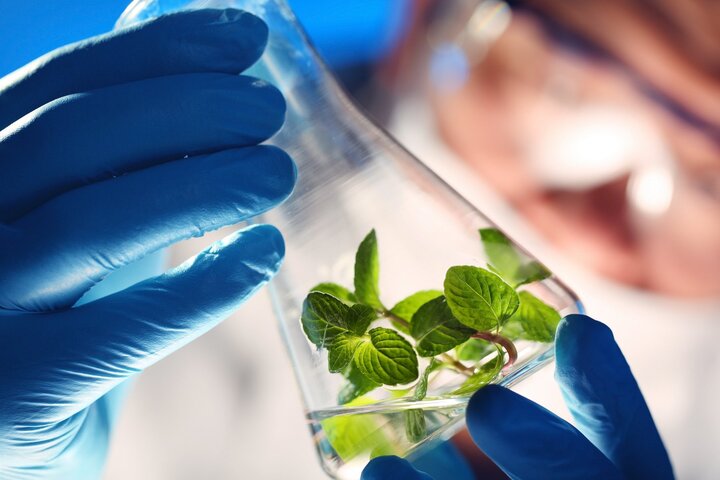 Best Biotechnology Colleges in Coimbatore | KIT