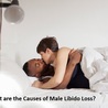 What are the Causes of Male Libido Loss?