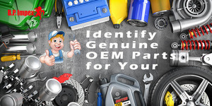 Identify Genuine OEM Parts for Your Vehicle