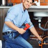 Plumber Wattle Grove