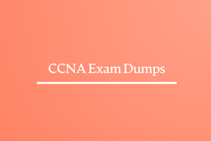 CCNA Exam Dumps Questions answers are verified