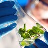 Best Biotechnology Colleges in Coimbatore | KIT
