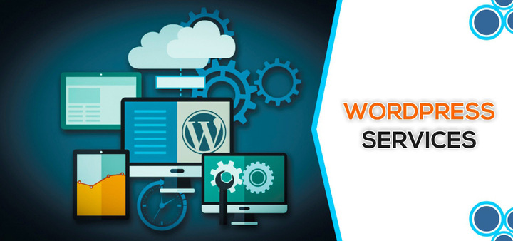 The Full Potential of Your Website with WP Tangerine's WordPress Services