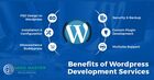Overview of WordPress Development Services: A Beginner&#039;s Guide 2024
