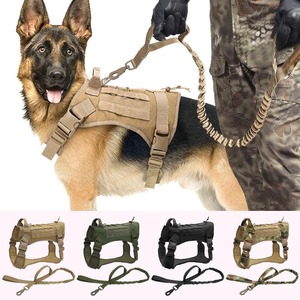 Training Tools: Unveiling Dog Training Collars