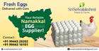 Namakkal Egg Dealer | Sri Selvalakshmi Feeds &amp; Farms