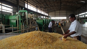 Prefeasibility Report on a Sugar Cane Processing Plant, Industry Trends and Cost Analysis