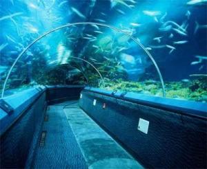 High-quality and Efficient Aquarium Project