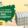 Namakkal Egg Dealer | Sri Selvalakshmi Feeds &amp; Farms