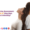 Endocrine Assessment: What is it? How does it affect infertility?
