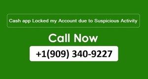 Cash App Locked my Account due to Suspicious Activity: Appropriate Steps to Regain\u00a0Access