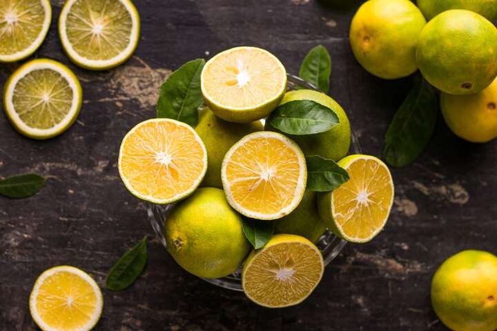 Japan Lime Market Outlook 2024-2032, Size, Share, Growth, Key Players, and Report