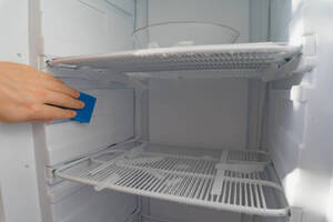 Frost-Free Refrigerators: Simplifying Food Storage and Maintenance