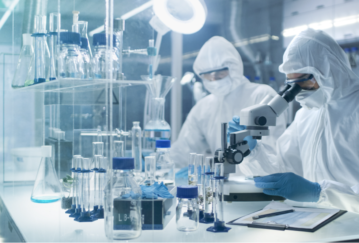 Quality control and optimization processes in the pharmaceutical industry