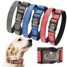 Pamper Your Pooch: Latest in Dog Accessories