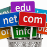 Why do you need a domain name?