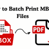 How to Print Multiple MBOX Files?