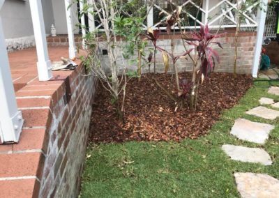 Mona Vale Tree Lopping: The Key to a Well-Maintained and Safe Yard