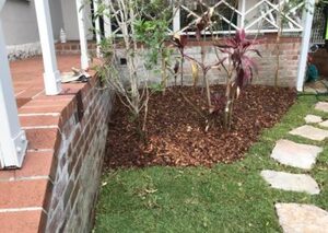 Mona Vale Tree Lopping: The Key to a Well-Maintained and Safe Yard