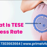 Tese success rate | Prime IVF Centre