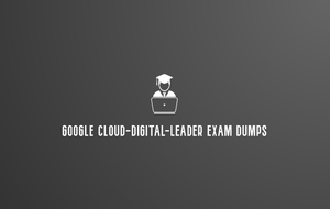 Pdf Google Cloud-Digital-Leader Dumps questions.