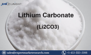 Lithium Carbonate Manufacturing Plant Project Report | Industry Growth &amp; Market Trends