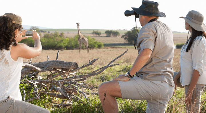 Experience the Ultimate Luxury at Botswana's Premier Safari Lodges