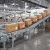Conveyors for boxes: what they are and their advantages