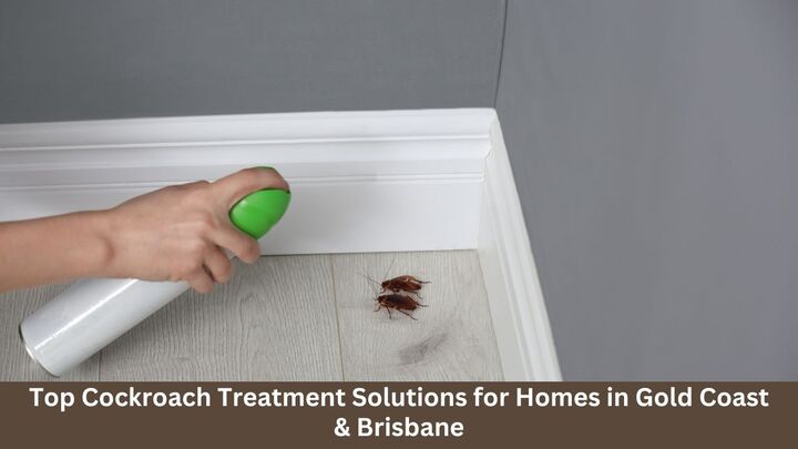 Top Cockroach Treatment Solutions for Homes in Gold Coast & Brisbane