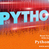 Key Benefits of Learning Python in 2024