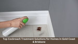 Top Cockroach Treatment Solutions for Homes in Gold Coast &amp; Brisbane