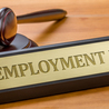 How Can an Employment Lawyer Protect Your Rights?