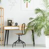 Five ways to make your living room spacious with indoor plants