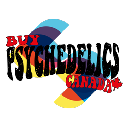 Unlocking Bliss: Where to Buy MDMA Online in Canada - Your Ultimate Guide