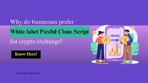 Why do businesses prefer White label Paxful Clone Script for crypto exchange?