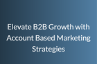 Elevate B2B Growth with Account Based Marketing Strategies