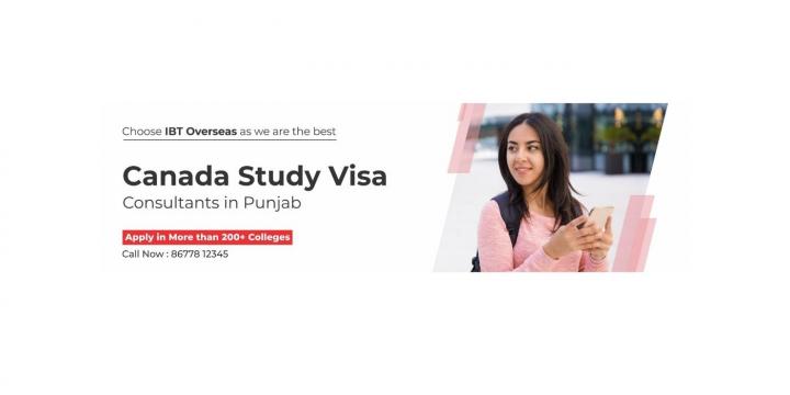 Study Visa Consultants in Jalandhar