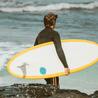 Can You\u00a0Use Surfing Wetsuit For Scuba Diving?