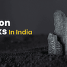 Carbon Stocks in India: Investing in a Sustainable Future